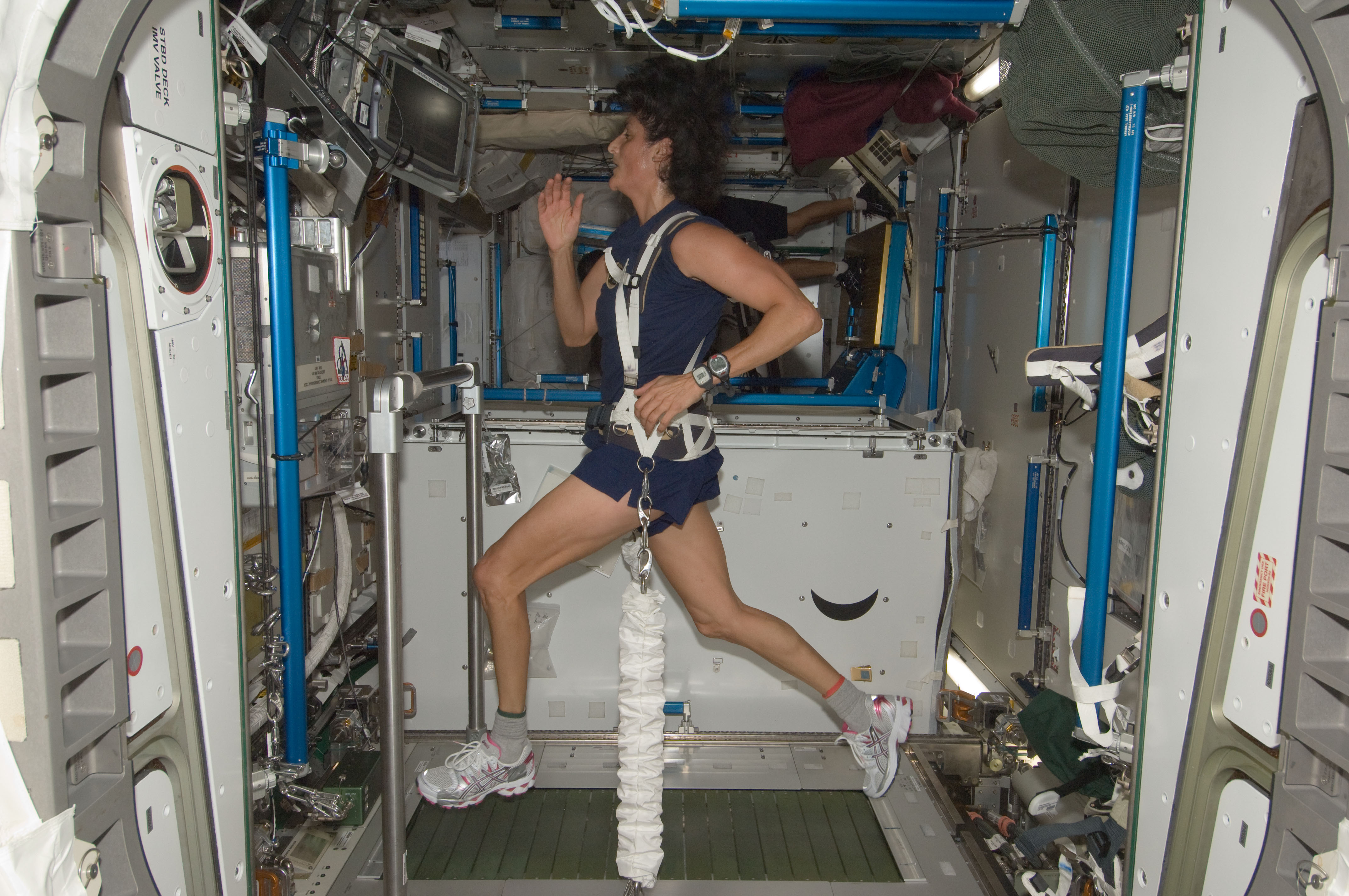 Nasa Astronaut Sunita Williams Exercises On A Treadmill Aboard The Iss