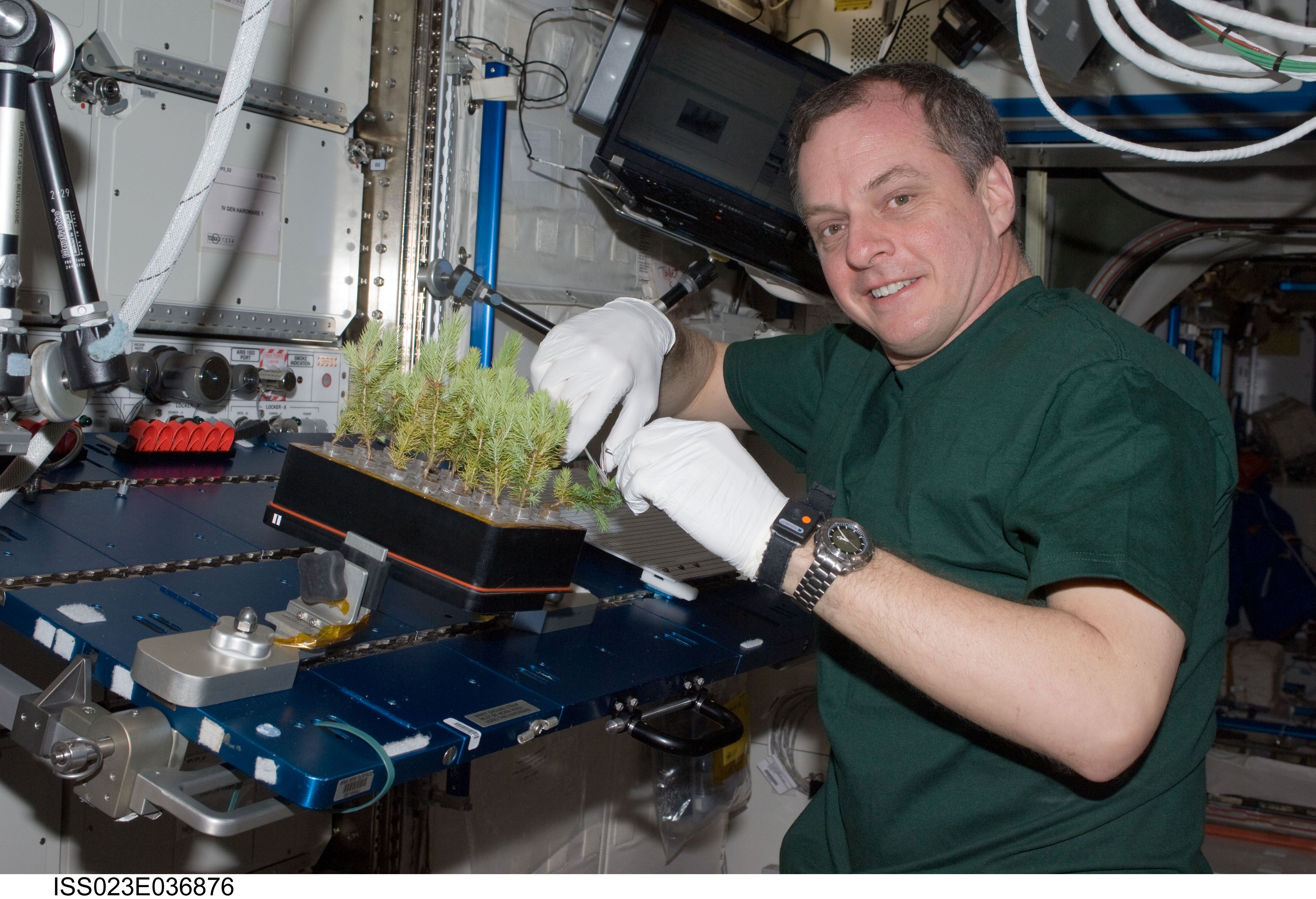 Какой овощ вырастили на космической станции. Биологические эксперименты на международной космической станции. Эксперименты на МКС. Растения на МКС. Лаборатория МКС.