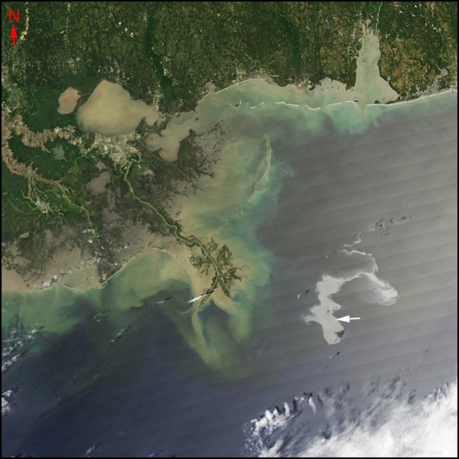 Satellite image of a a section of coastline on the Gulf of Mexico. An arrow points to an oil slick in the ocean.