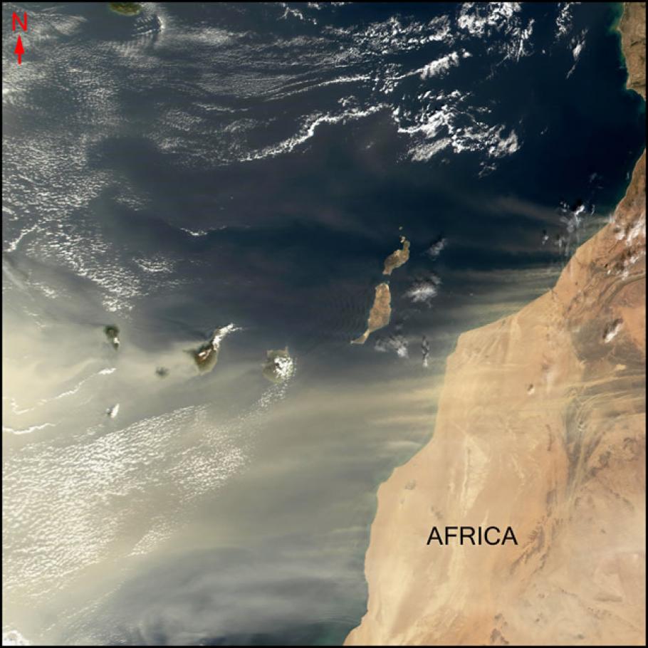 Satellite image of a cluster of islands off the northwest coast of Africa.