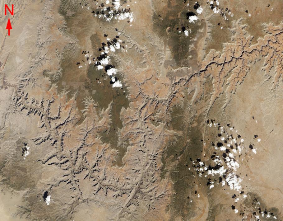 Satellite image of desert-like land with a large crack in it.
