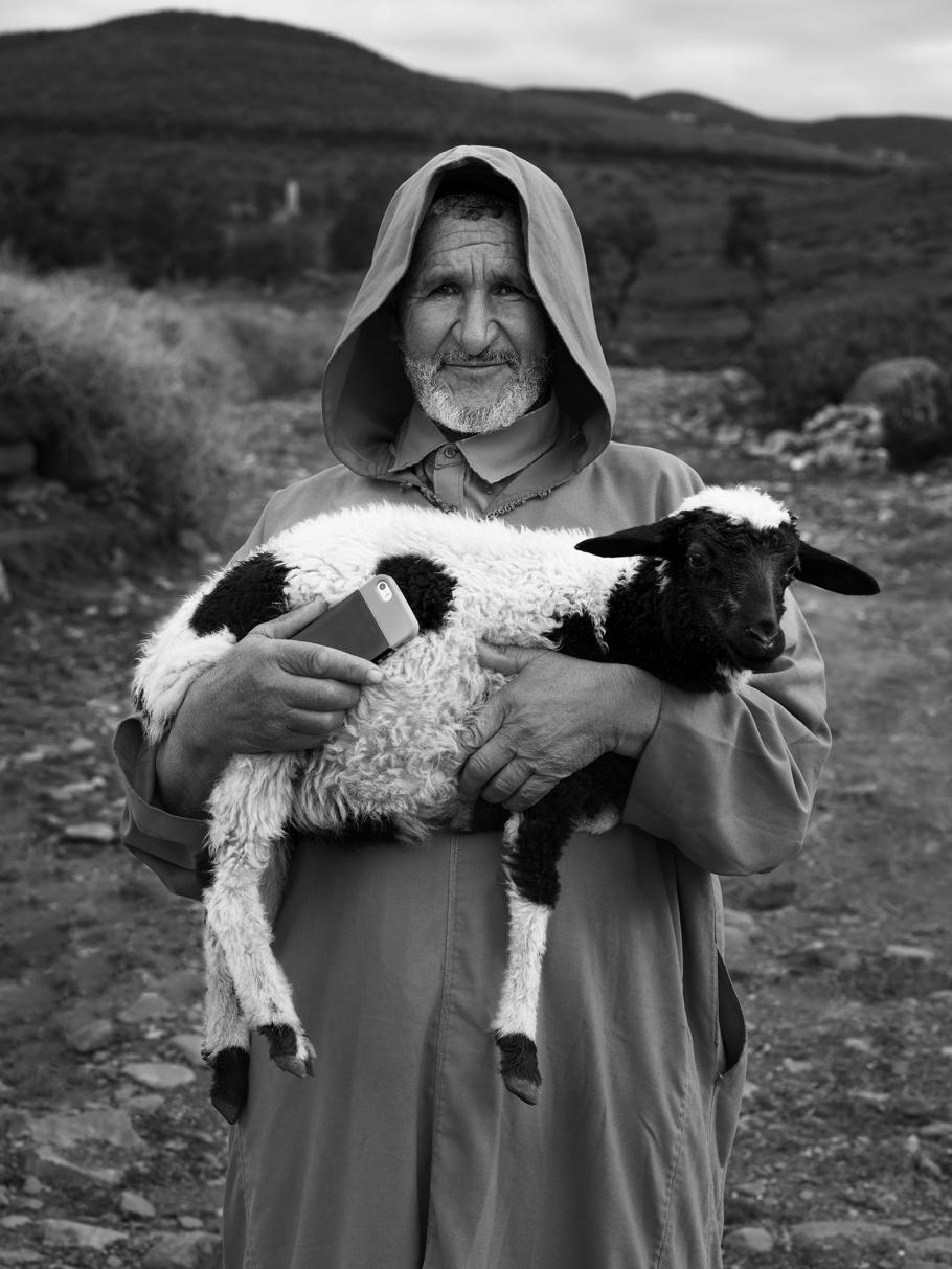 A person holds a small sheep and a cellphone. They look to be in a desert-like climate.