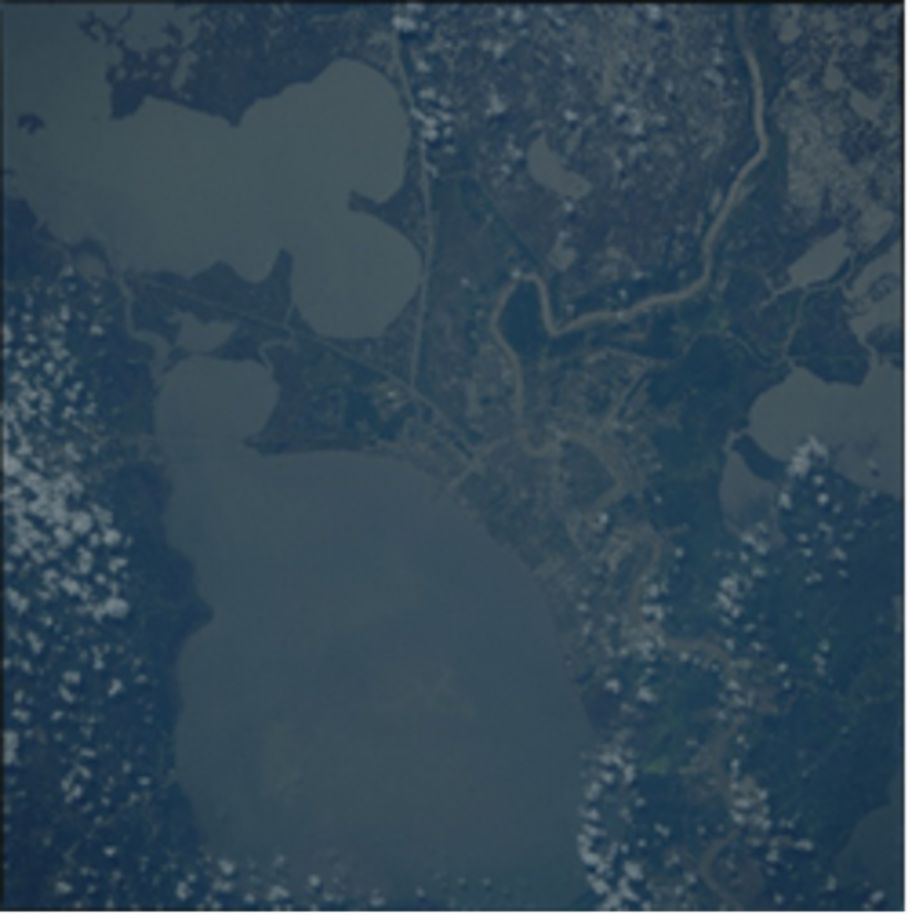 A satellite image of New Orleans