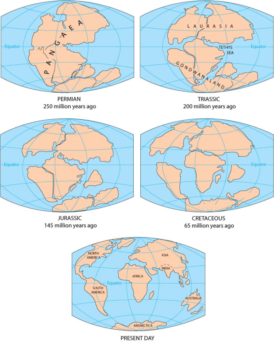 Five maps of the Earth, each showing a different point in the past when the land on Earth was in different shapes, starting with Pangea.