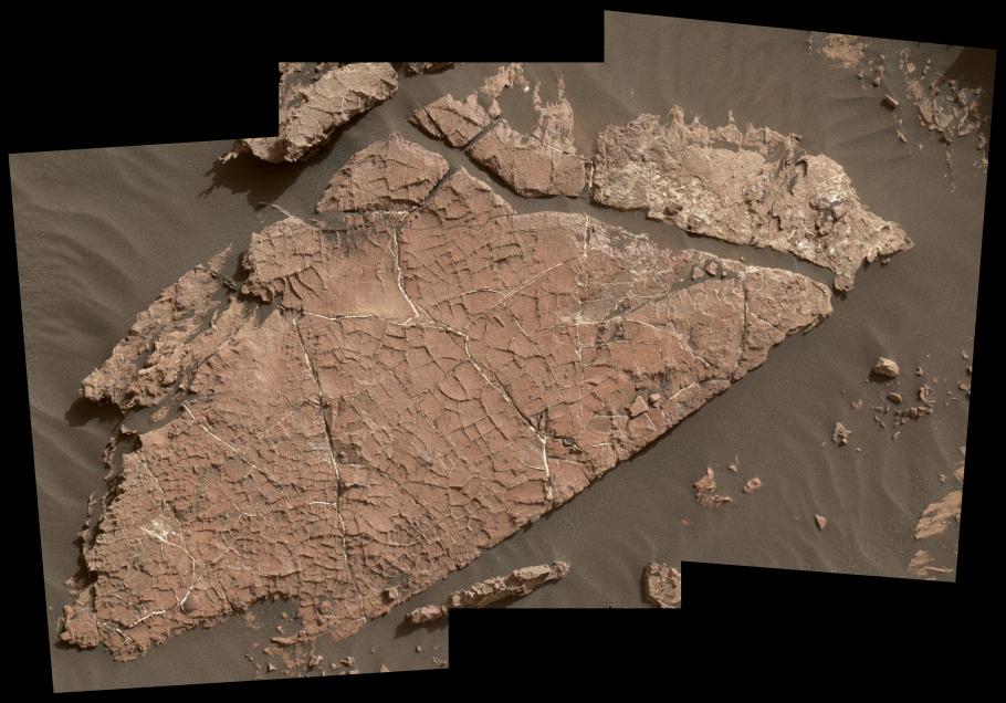 A stitch of of various images that shows a muddy surface with many cracks.
