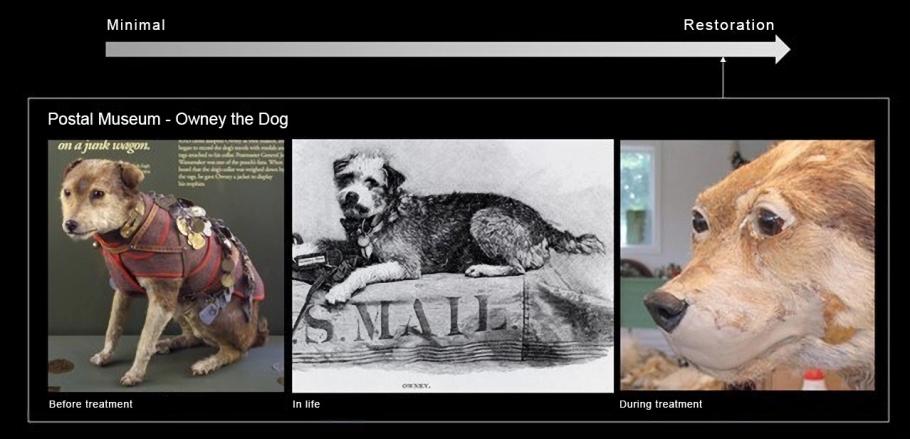 A visual timeline with images of a dog throughout time.