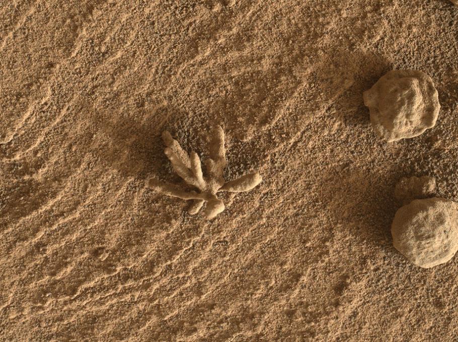 A rock-formation resembles a blooming flower, surrounded by the red dust of the Martian desert.