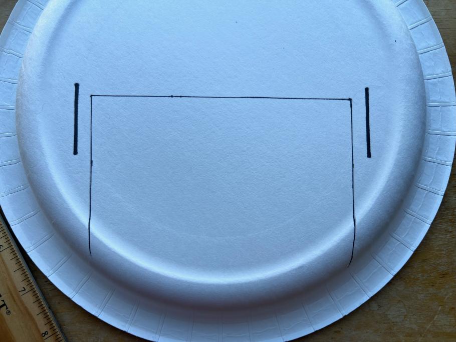 Photo of a white paper plate with black line markings drawn on it.