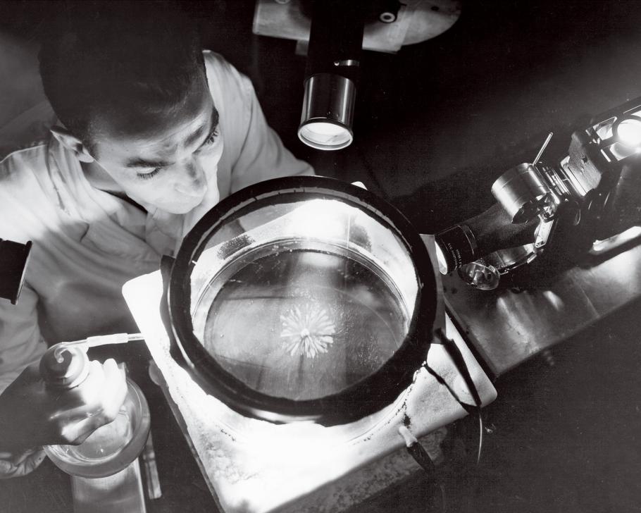 A top view of a a man in a white lab coat pears at an experiment in a circular container.