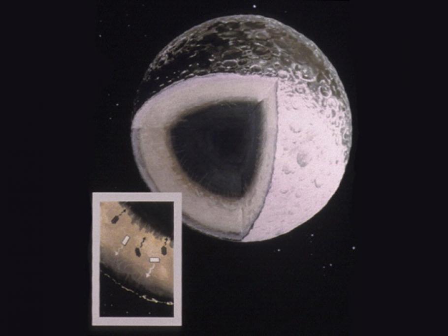 Lunar Anorthosite Origin