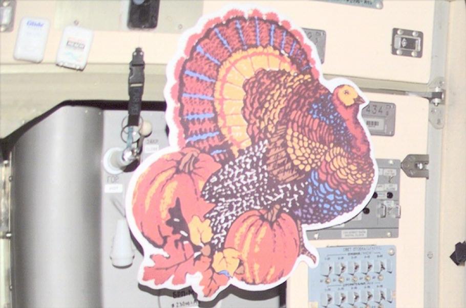 Thanksgiving in Space
