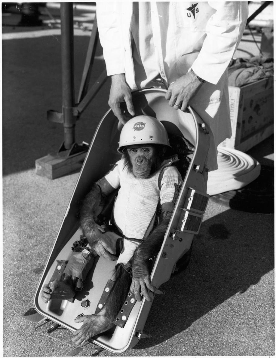 NASA launched the chimpanzee Ham on a suborbital flight in January 1961.