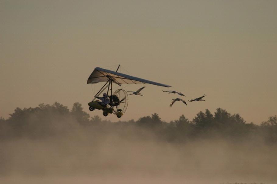 Operation Migration Ultralight with Whooping Cranes
