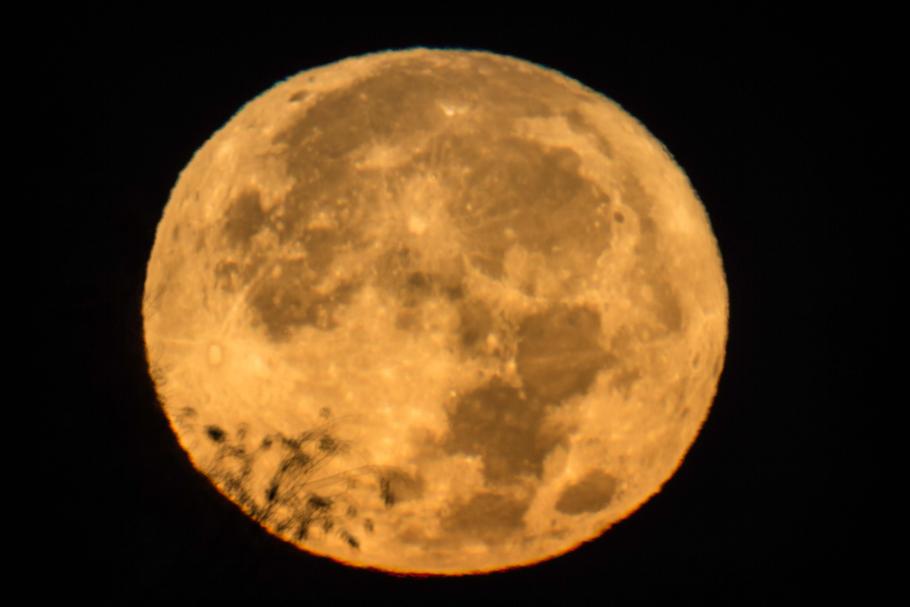 Moon takes up the complete frame and appears orange. 