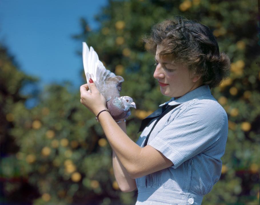 Specialist (X) second class Marcelle Whiteman gently holds one of the 200 carrier pigeons