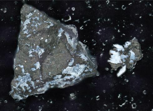 Two charcoal-colored fragments have patches of bright white crust.