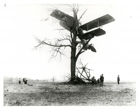 Aftermath of a biplane which has crashed into a tree, with bystanders looking at the damage.
