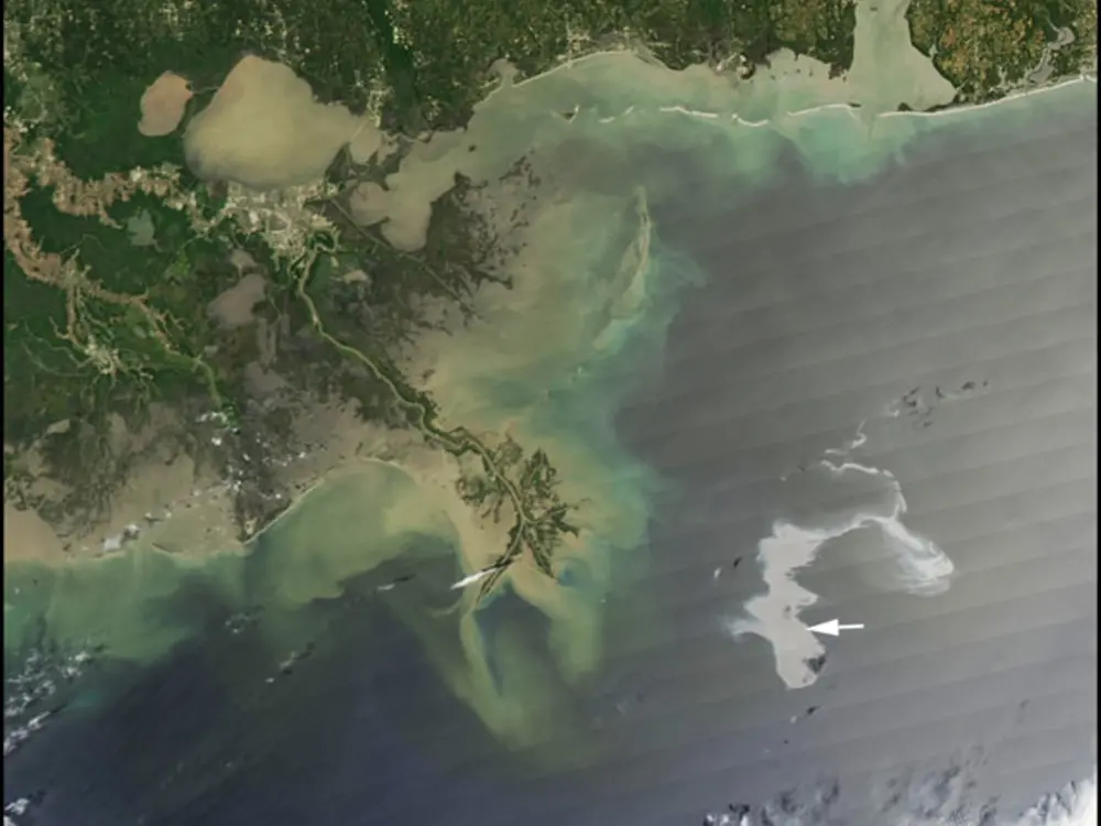 Satellite image of a a section of coastline on the Gulf of Mexico. An arrow points to an oil slick in the ocean.