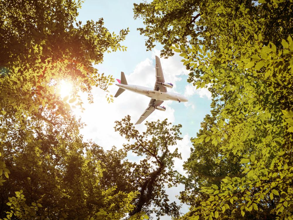 airliner framed by trees