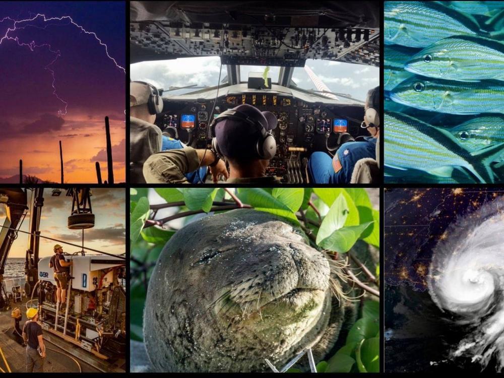 A photo collage showing a hurricane, a seal, a boat, fish, a lightning strike above a desert, and a cockpit of a plane.