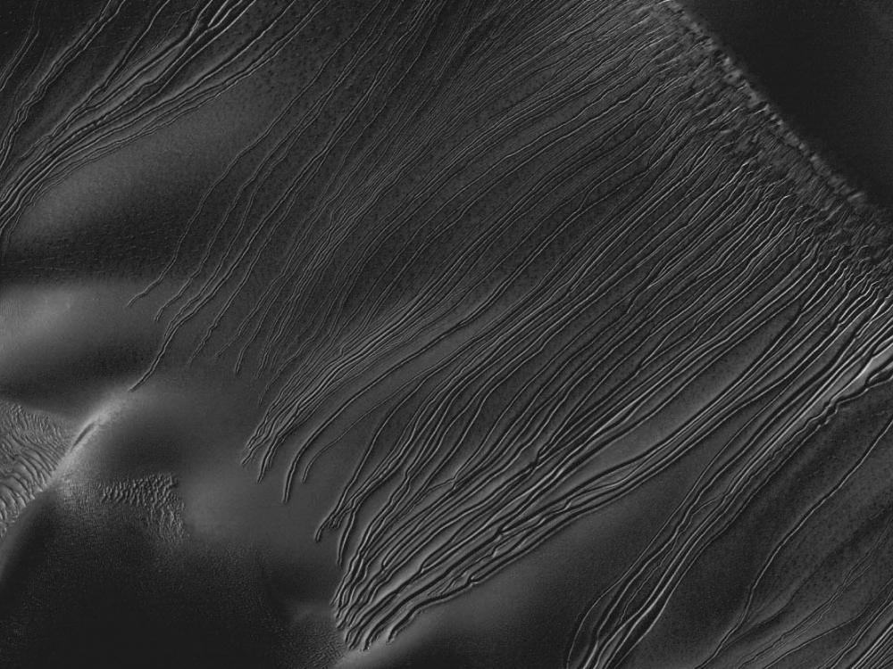 A dark grey image featuring lines, known as linear gullies, on the surface on Mars.