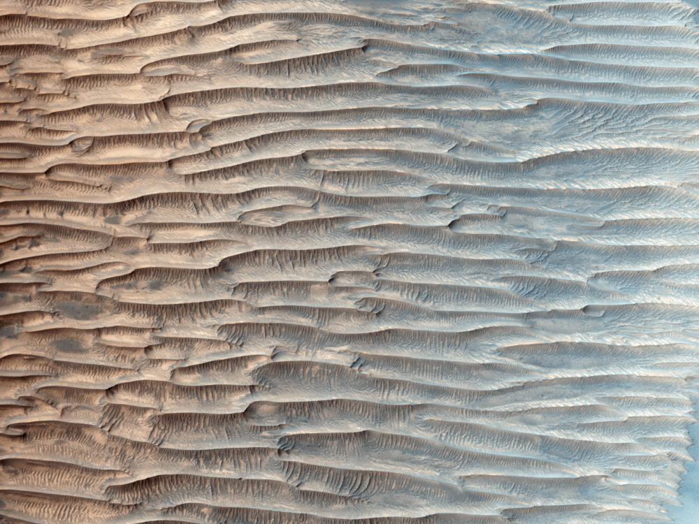 An image of all the linear ridges in a valley on Mars.