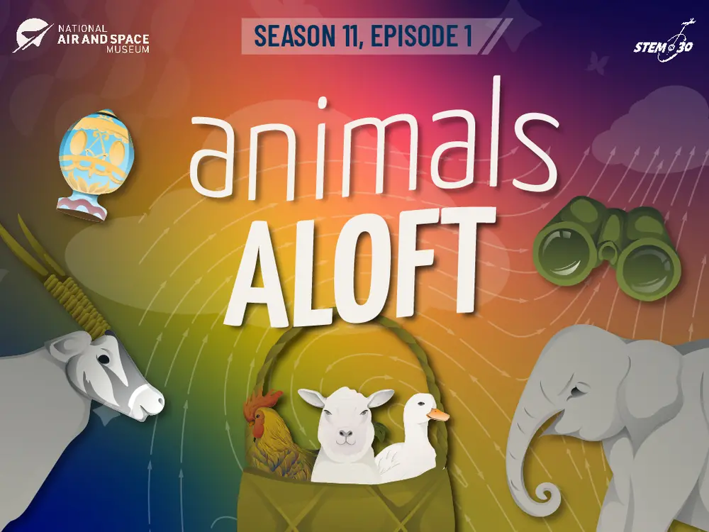 A thumbnail that reads "animals aloft" with images of animals.