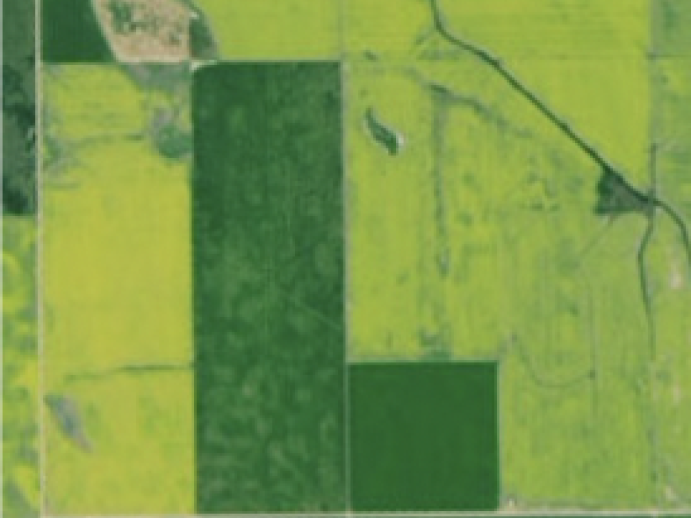 A satellite image of green fields where the deeper green looks like a "L."