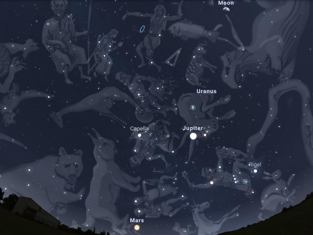 An illustration of constellations in the blue night's sky. 