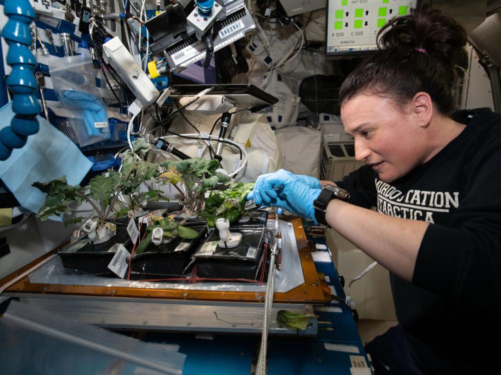 Astronaut with dark brown hair in a ponytail on a space station tending to plants in containers amidst various scientific equipment. 