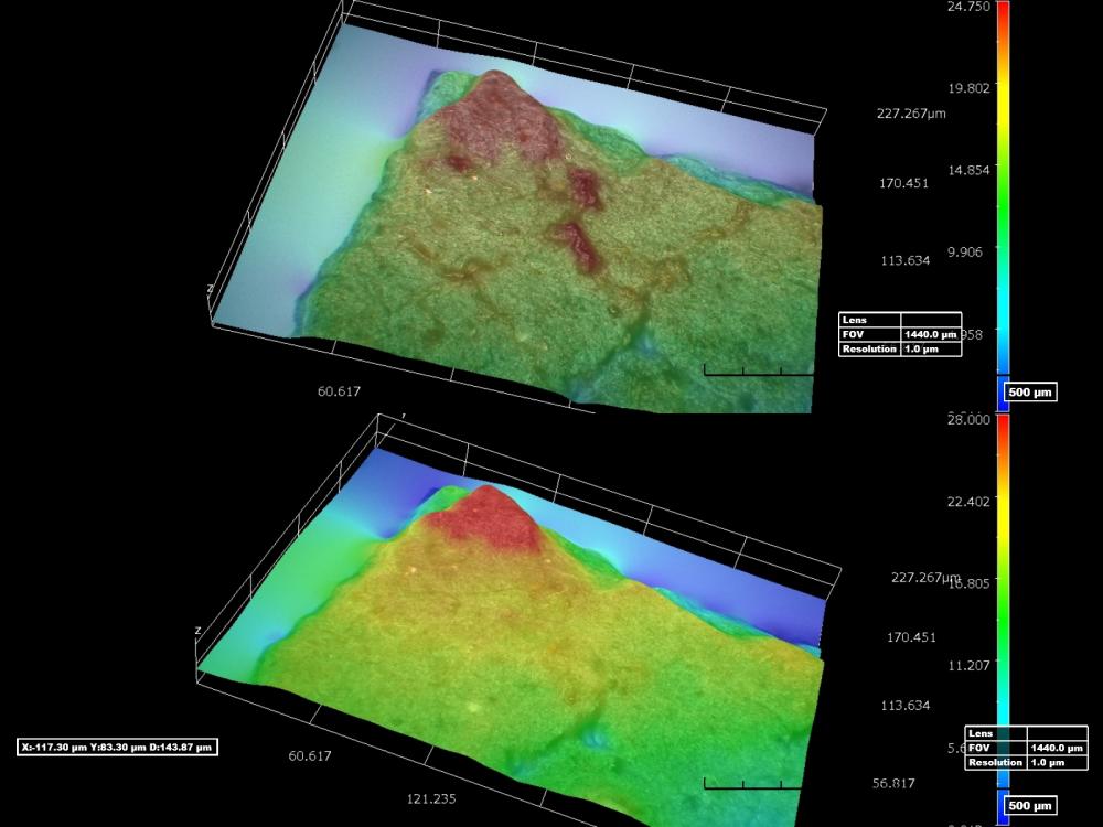 3D Microscopy of Top Paint Layer