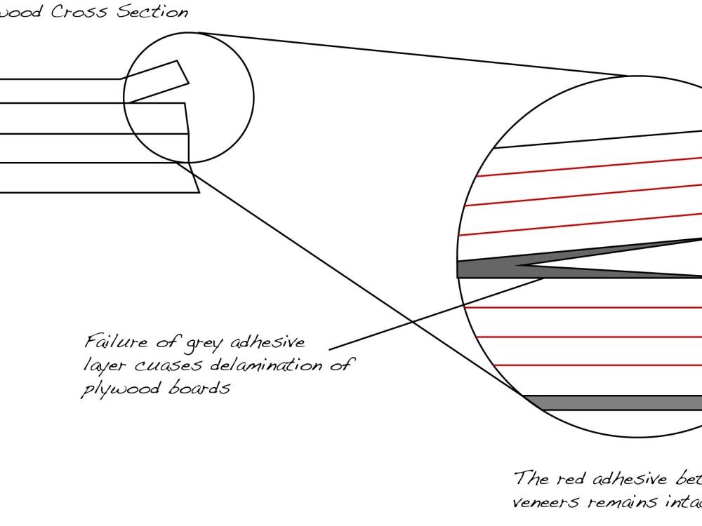 Cross Section of Delaminated Plywood