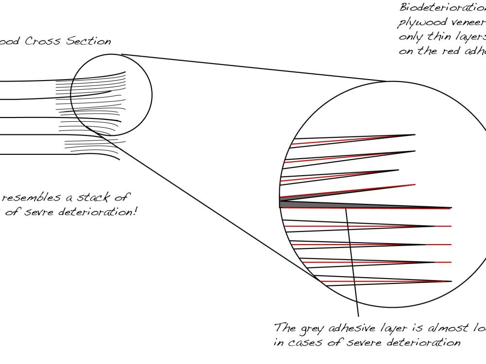 Schematic of Deteriorated Plywood