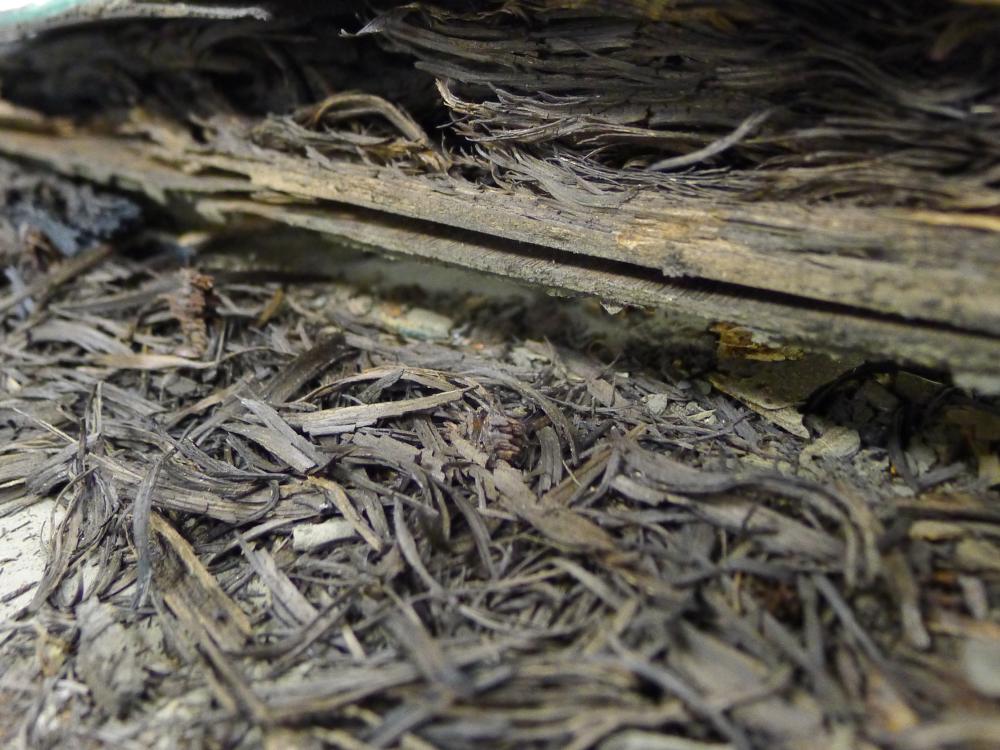 Remaining lumber section with a single plank surrounded by scraps from a World War II-era aircraft.