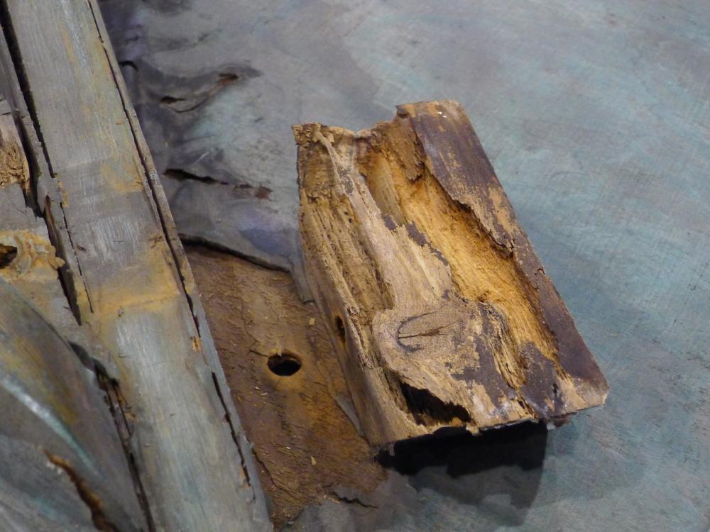 Examples of softwood deterioration on the interior of a World War II era aircraft. The wood is missing multiple layers in different spots.