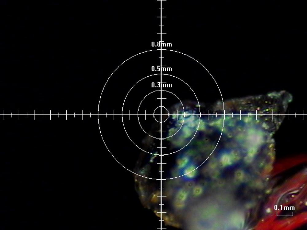 Analysis to determine the chemical makeup of a particle found in adhesive of a World War II era aircraft. The analysis has a crosshair feature to determine where a laser will focus on the sample.