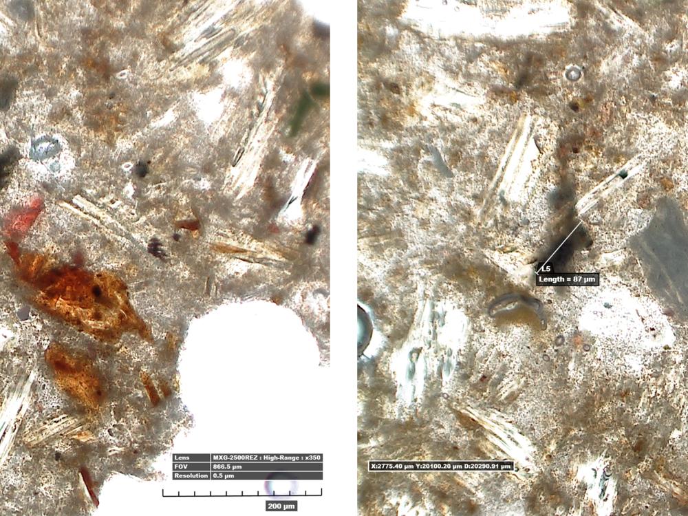 Two microscopic views of one thin section of an adhesive with multtiple black and orange particles visible in the light brown-colored adhesive. The right view shows measurements for the particles.