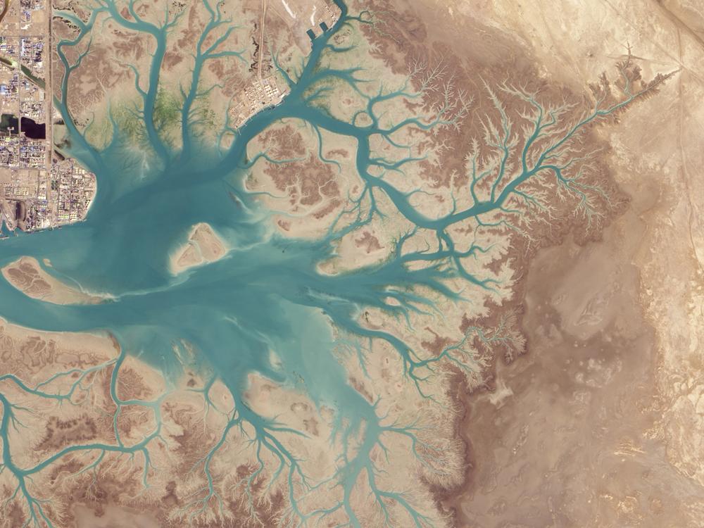 Satellite view of a estuary in the mostly-desert climate of Iran. The estuary features small branches that give it a tree-like shape.