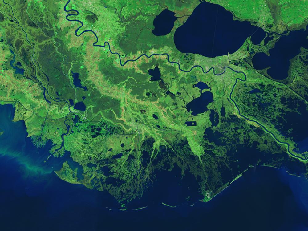 Satellite view of the Mississippi River's lower sections in Louisiana. The view is edited so that vegetation is various shades of green while bodies of water are visible as various shades of blue.