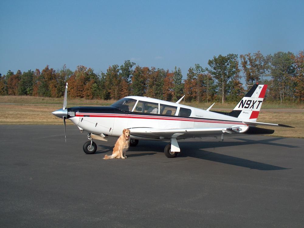 Piper Comanche and Canine