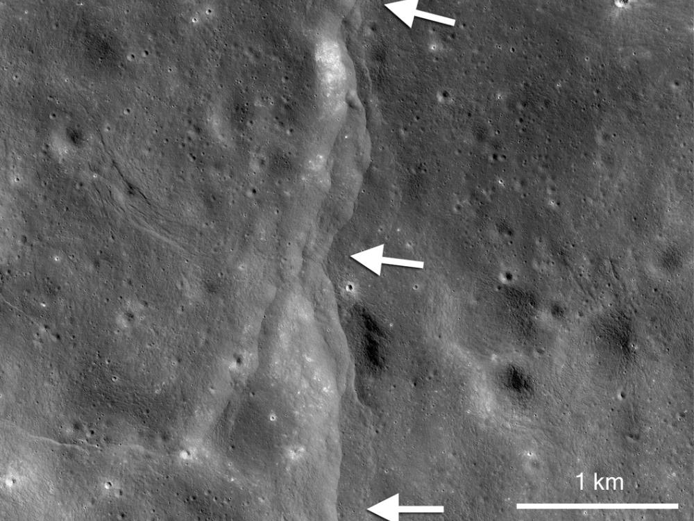 A set of fault scarps, or lines of rising crust on the Moon, which are pointed out using white arrows.