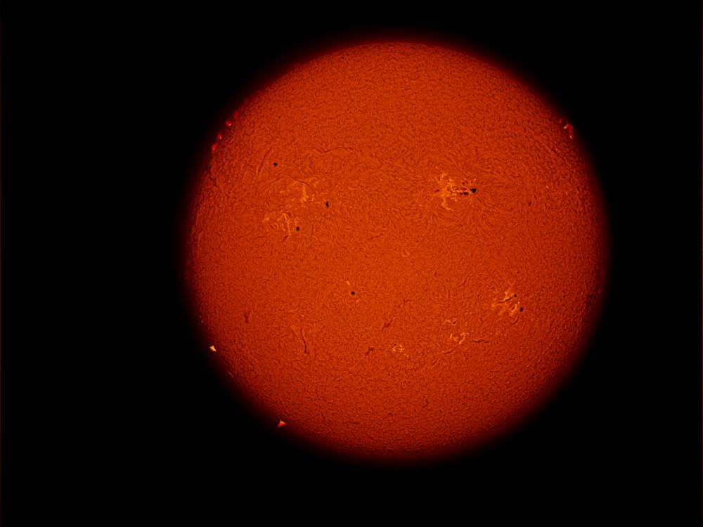 Disk view of the Sun with multiple visible sunspot clusters and prominences of plasma rising above the Sun's surface.