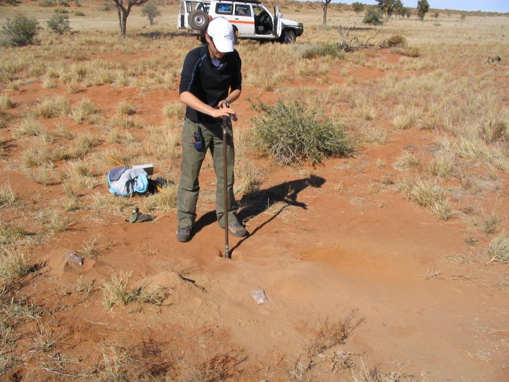 Center for Earth and Planetary Scientist in the Field