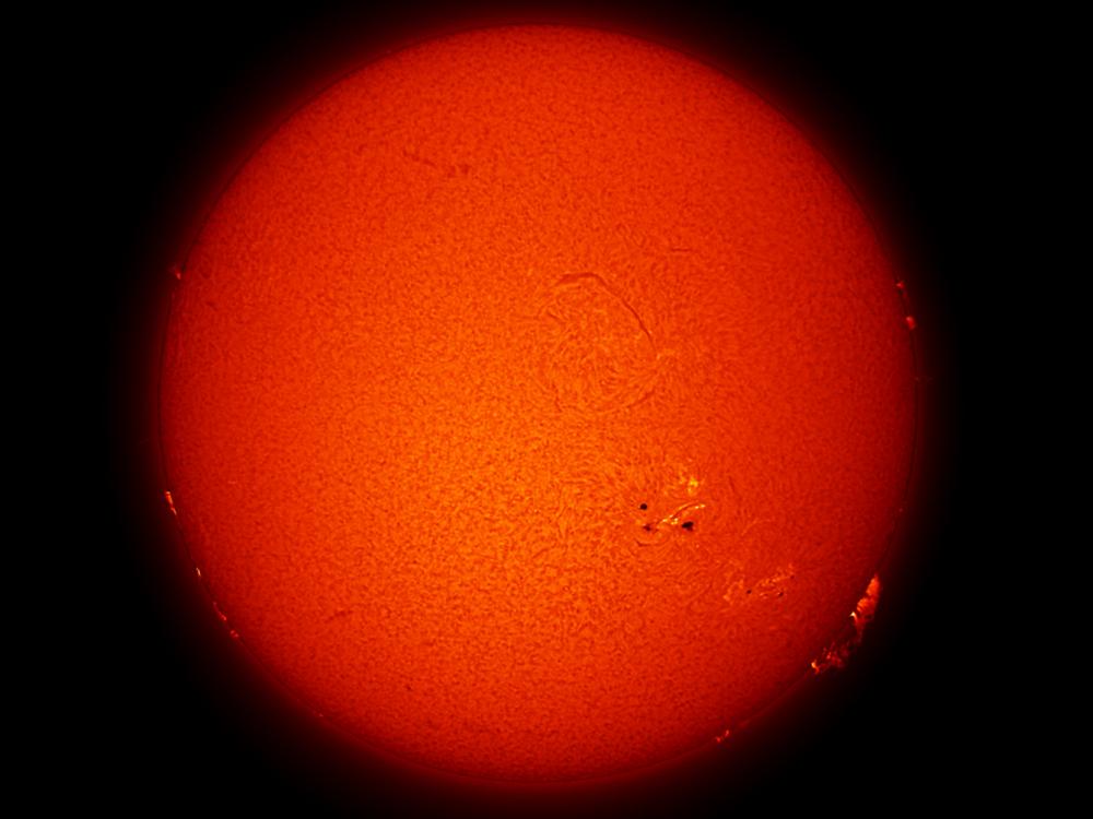 Disk view of the Sun with a large sunspot cluster and a large prominence floating above the surface of the sun.