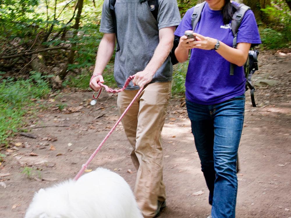 Portable Navigation Device