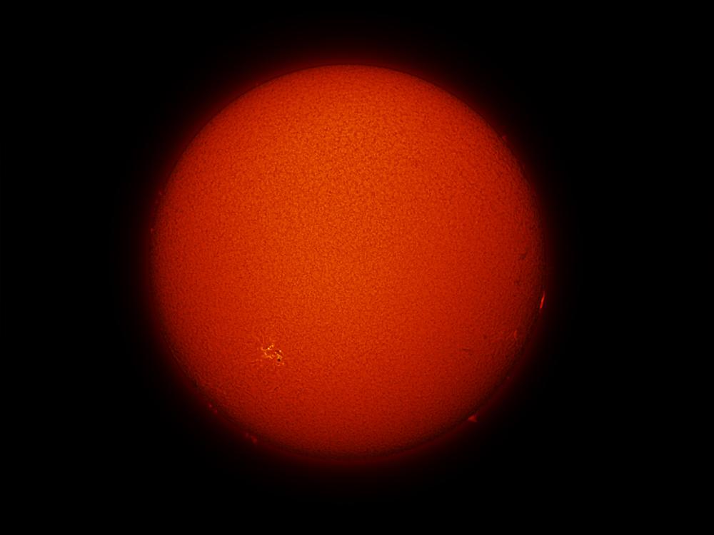 Disk view of the Sun with one visible sunspot cluster, highlighted in a yellow colour, and small prominences floating off the Sun across the bottom half of the visible Sun.