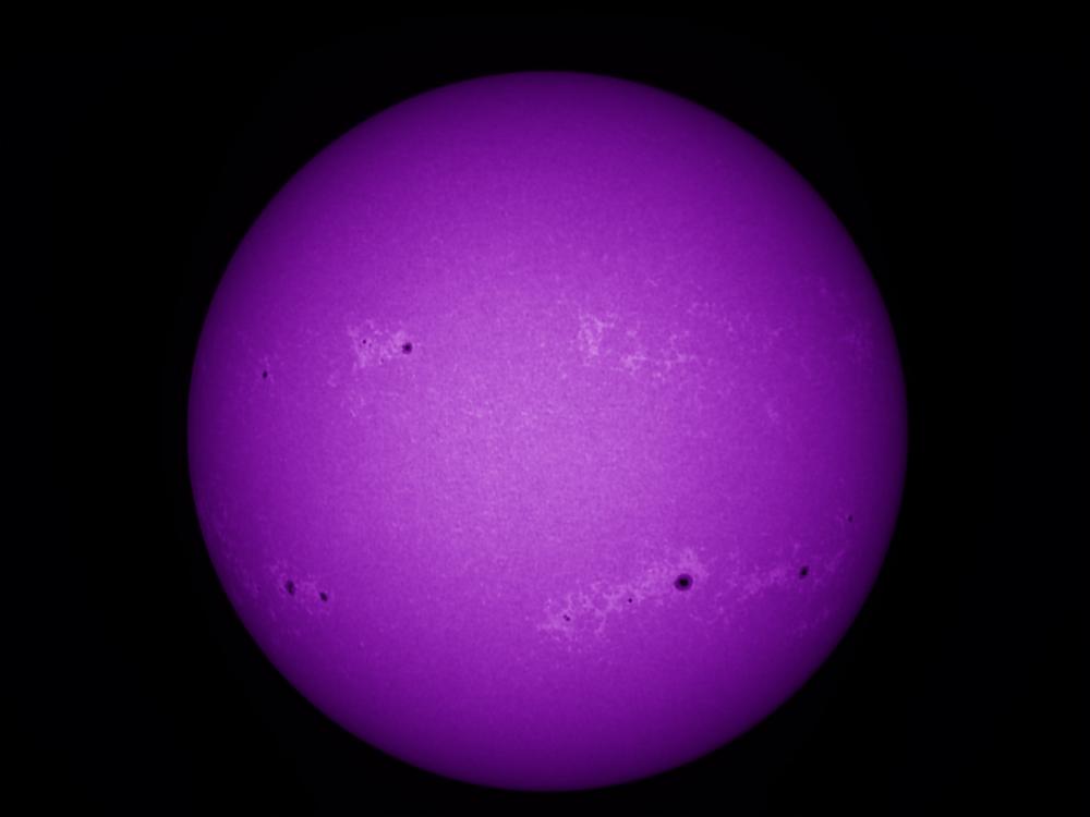 Purple disk of the Sun's chromosphere highling multiple sunspots which appear as black dots and phages which appear as lighter areas compared to the rest of the disk.