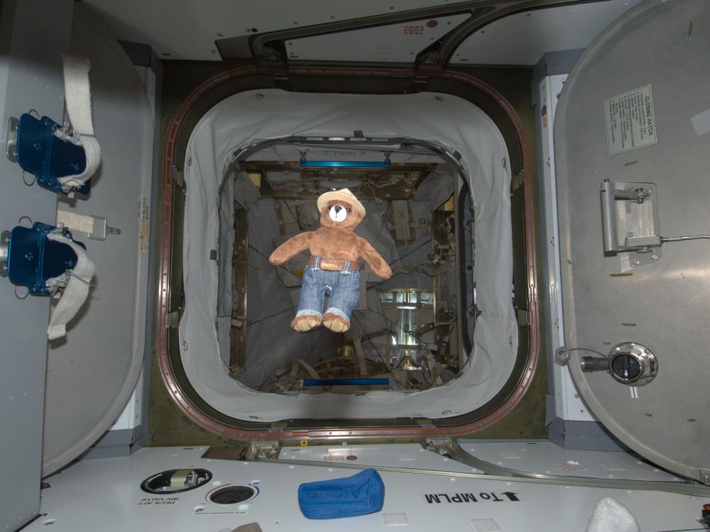 A Smokey Bear plush floats in zero gravity on board the International Space Station.