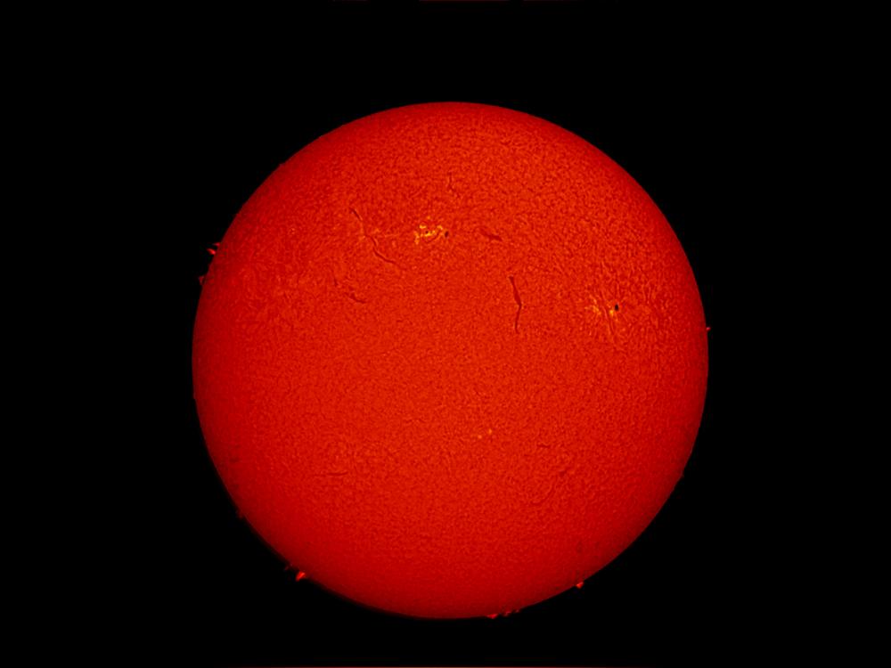 Disk view of the Sun's chromosphere. A few prominences of floating gases are visible on the edges and two sunspot clusters are divided by a filament, or a darker-appearing line of floating gases within the disk.