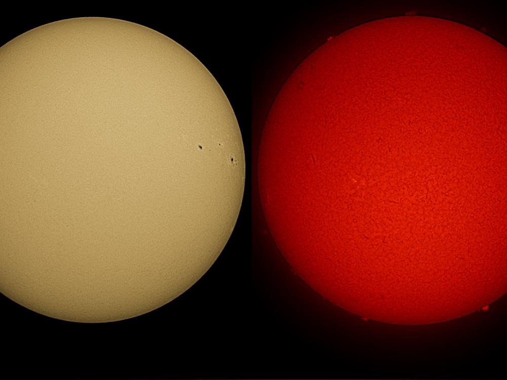 Two disk views of the Sun. The left disk shows the surface of the Sun, with a few sunspots visible on the right side of the disk. The right image shows the chromosphere of the Sun, with some prominences of gas floating from the surface of the Sun and a couple of phages on the right side of the disk.